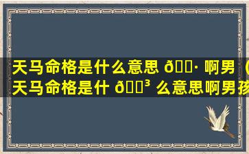 天马命格是什么意思 🌷 啊男（天马命格是什 🐳 么意思啊男孩）